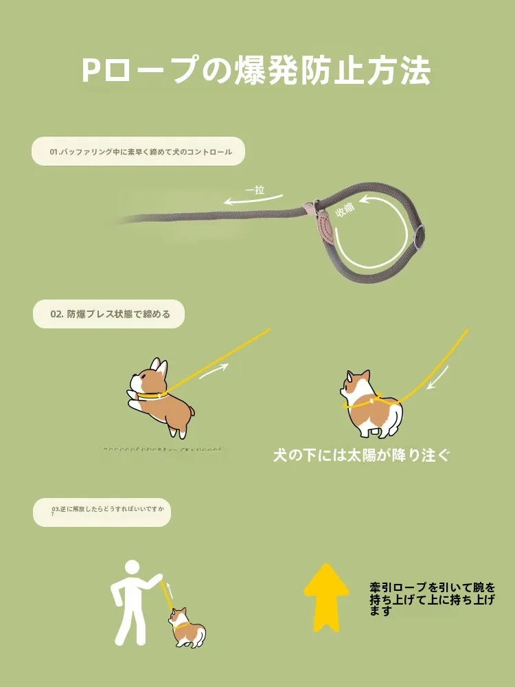 犬首輪リード：防爆設計と大中小型犬対応の実用性を徹底検証