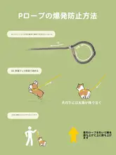 犬用リード【防爆設計・大中小型犬対応・脱走防止・金髪犬用カラー付き】