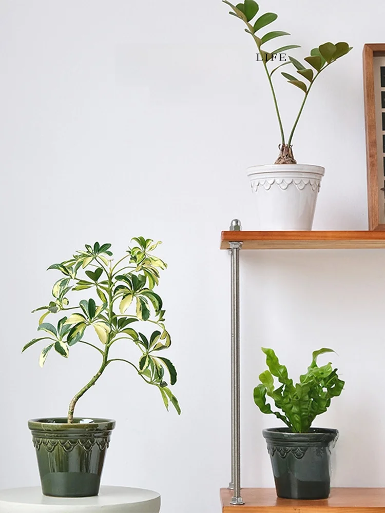 小さな部屋に植えるべき植物はどれ？北欧風の陶磁器花鉢が解決する、空間の調和の悩み