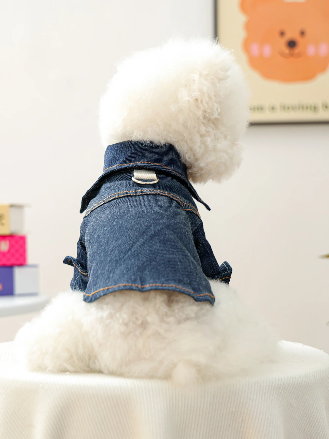 春秋用おしゃれなデニムシャツ：ペットブランドPETCIRCLEの小型犬向けトレンドアイテム