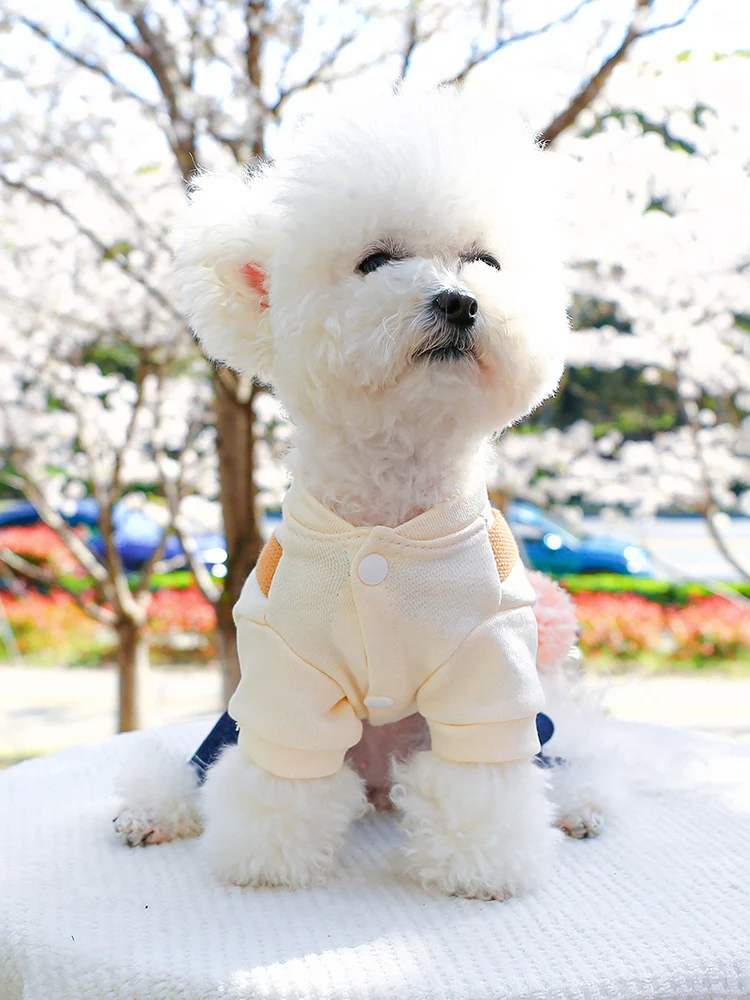 小型犬用ハーネス付きサスペンダーデニムパンツ：春秋シーズンの散歩に最適な実用性を実証