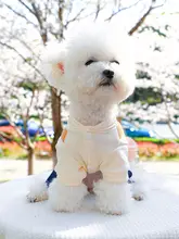 小型犬用ハーネス付きサスペンダーデニムパンツ【春秋用・テディ・ポメラニアン・ビション・ベビー犬用】