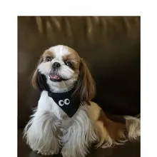 ペット用マフラー【犬・猫用・ファッション小物】