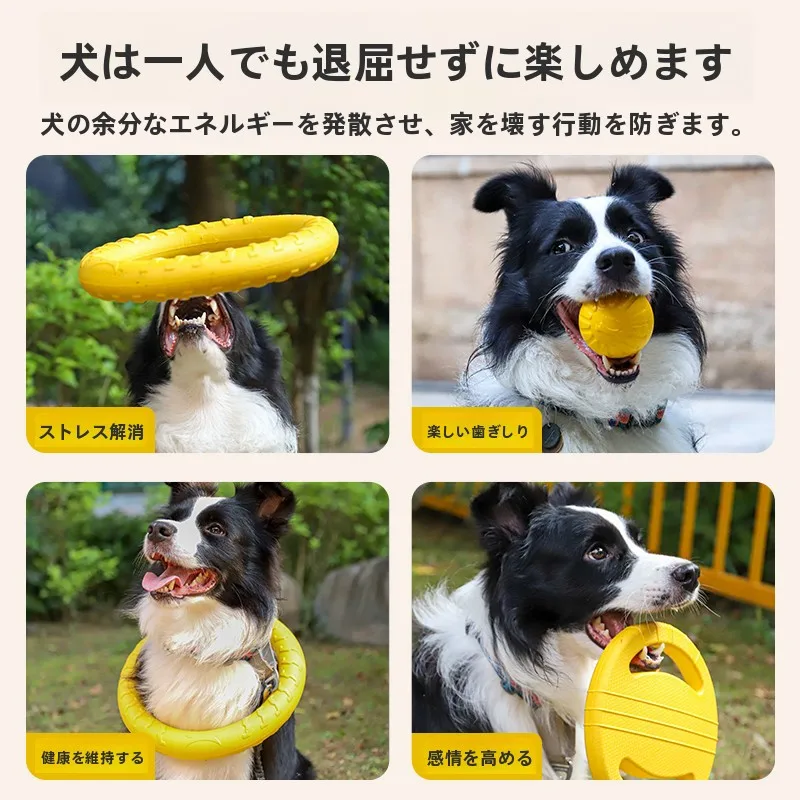 大型犬飼いやすい ペットインタラクティブフリスビーの実用性と耐久性解析