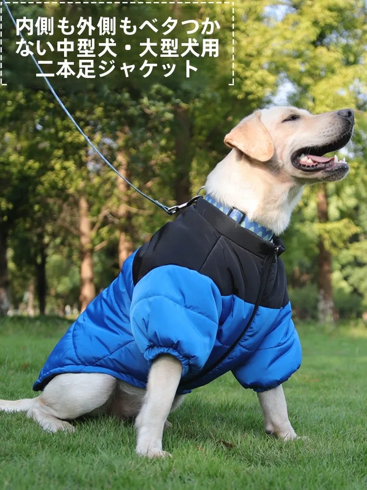犬のお散歩グッズをコスパ良く揃える方法｜ダウンコットンジャケットの実測ガイド