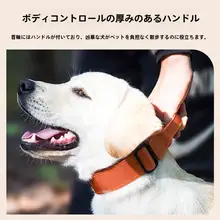 中型・大型犬用首輪【ハスキー・ラブラドール・ゴールデンレトリーバー対応・リード付き】