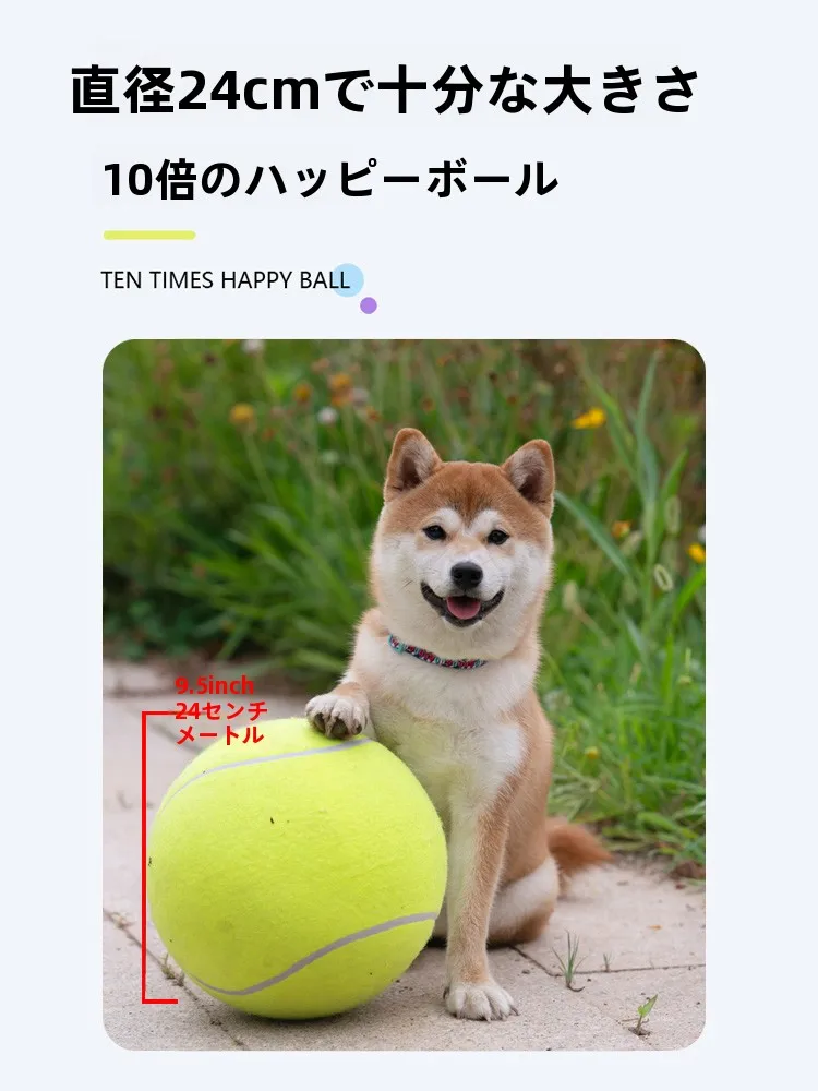 犬のお散歩グッズをコスパ良く揃える方法 - 耐噛性の大型ペットボールの定義と特性