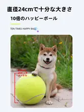 耐噛性の大型ペットボール【極上の柔らかさ・犬用・遊び・解消】