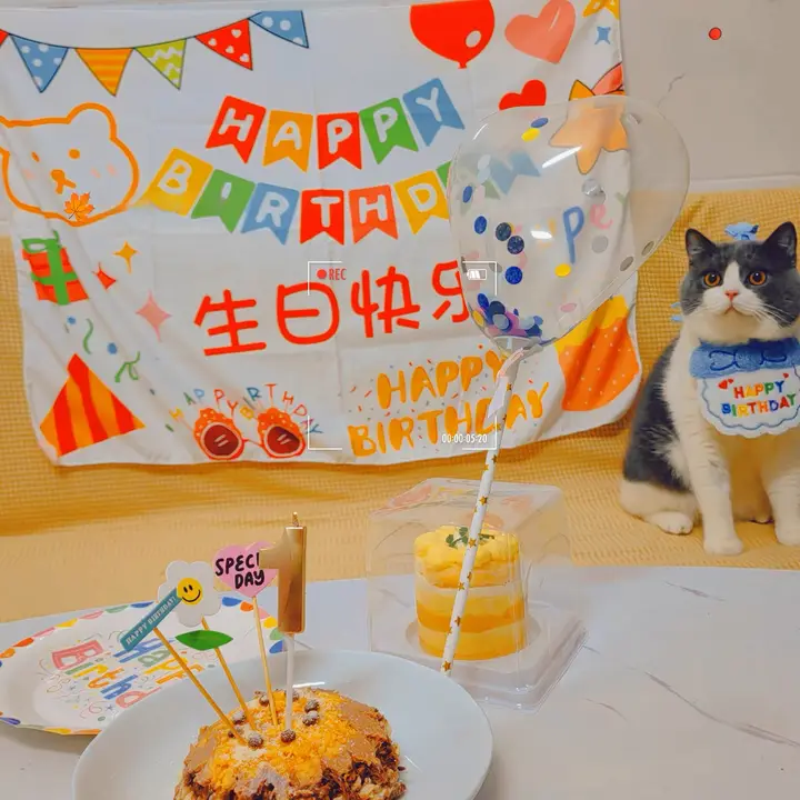 可愛いデザインのペット用誕生日帽子【犬と猫用・おしゃれな飾り・バースデーパーティーに最適】