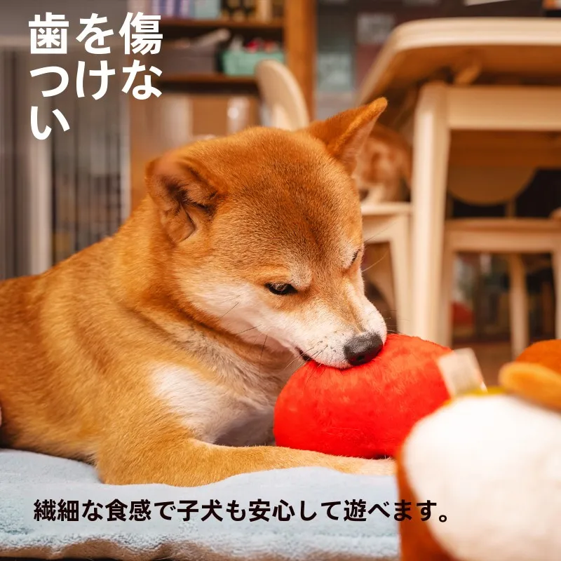 おもちゃ ワミー で悩むなら、犬用の発声おもちゃが 本当の「心の癒し」になる？