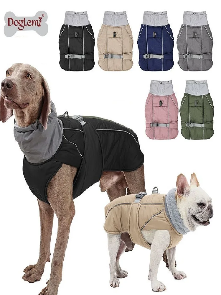 犬のお散歩グッズをコスパ良く揃える方法｜耐久性と実用性のバランスを徹底解説