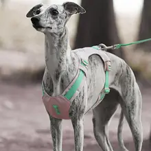 犬用 胸当て型ハーネス【中小型犬用・引き紐付き】