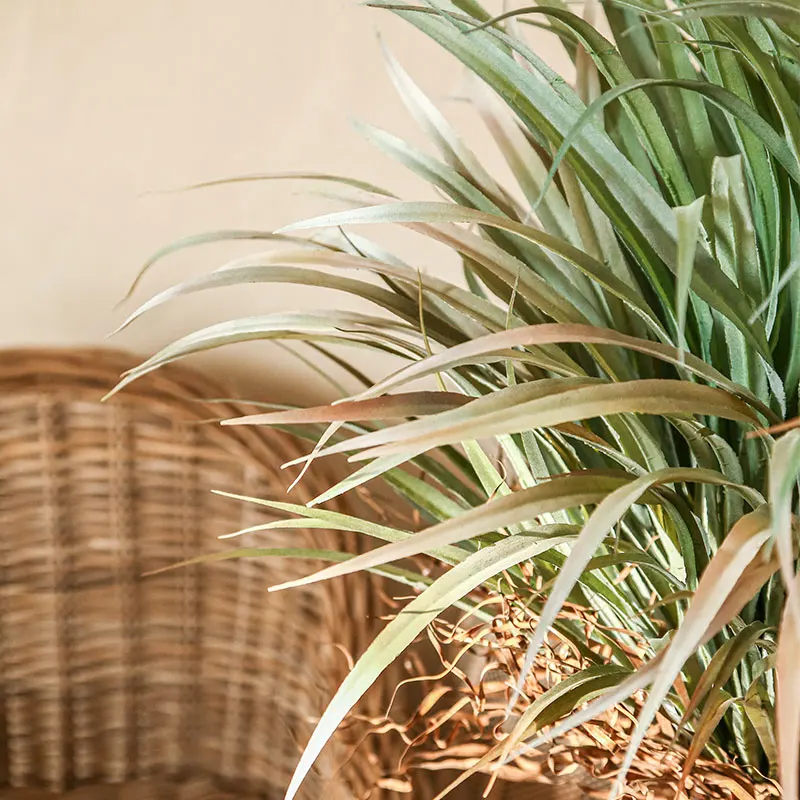 ウッドデッキに植物を植えることで目隠しを実現する大型グリーン背景の選び方