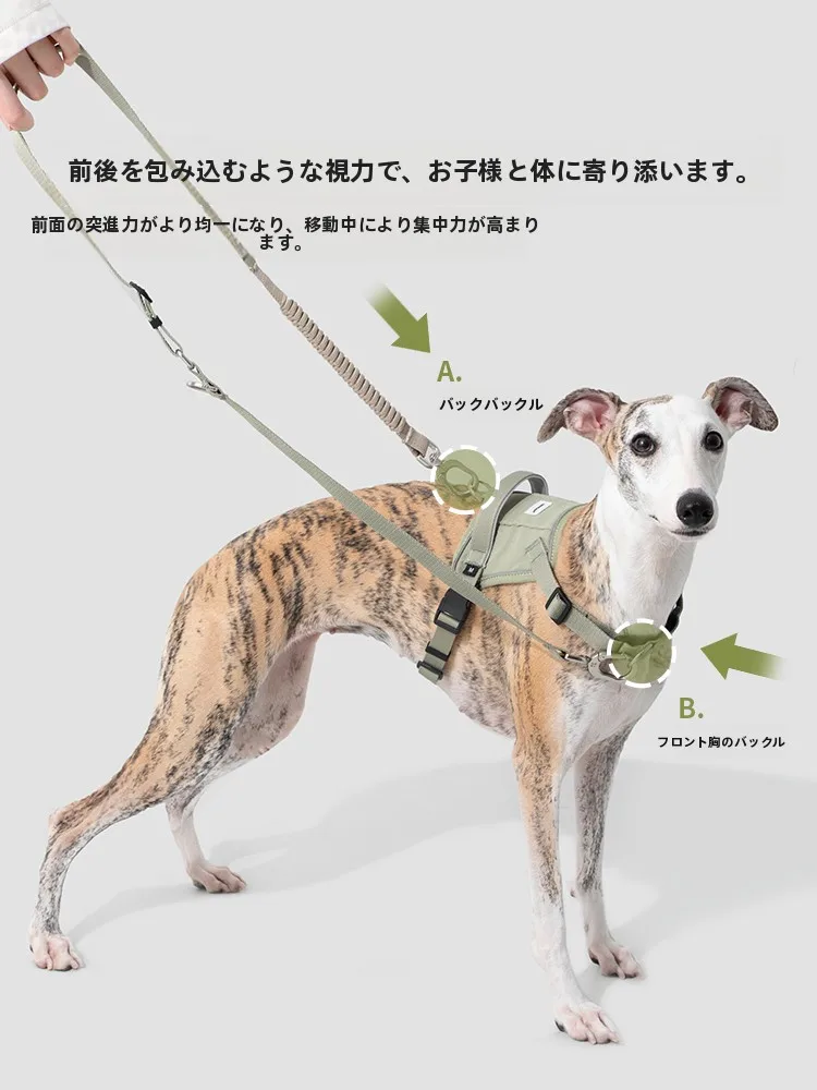 犬のお散歩グッズをコスパ良く揃える方法　ベスト式ハーネスの実測ガイド