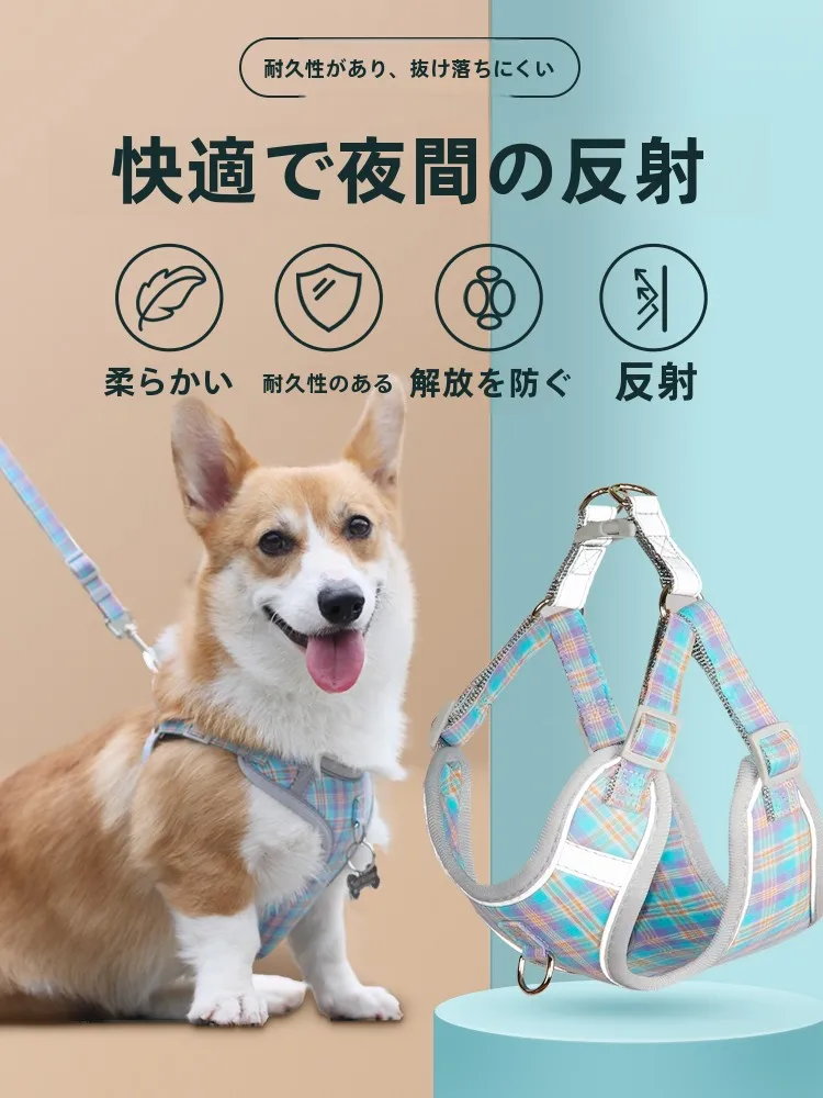 キャンプ道具を節約調達｜実際に使ってみた結果　アルミニウム合金4点セットの実用性徹底解説