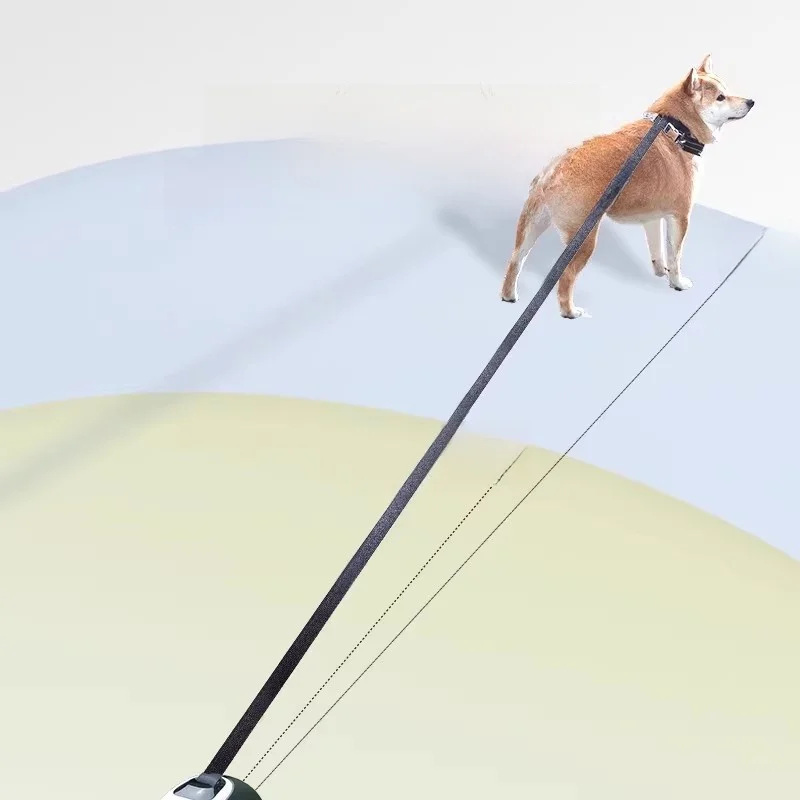 中型犬の引っ張りを防ぐリードは、本当に「自動伸縮式」がベストなの？
