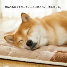 四季用ペットマット【中大型犬・コーギー・柴犬用・寝床マット】