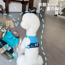 軽量で通気性の良い小型犬用ハーネス【伸縮性リード付き・快適設計】