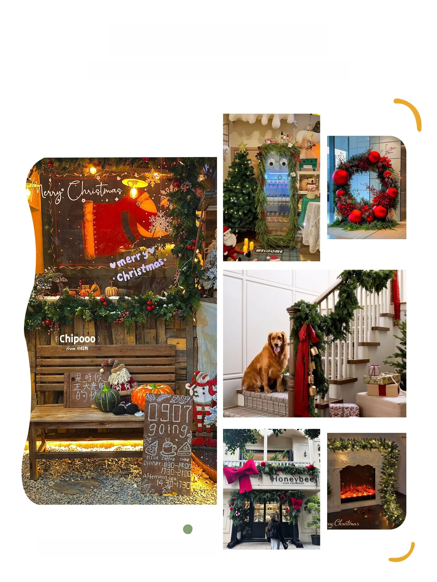 ノーフォークパインのクリスマスリース：ドアハンガーとリビング装飾の実用性とデザイン性