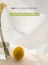 透光性のある白い縦型ブラインドカーテンセット【取り付け簡単・伸縮ロッド付き・寝室用】