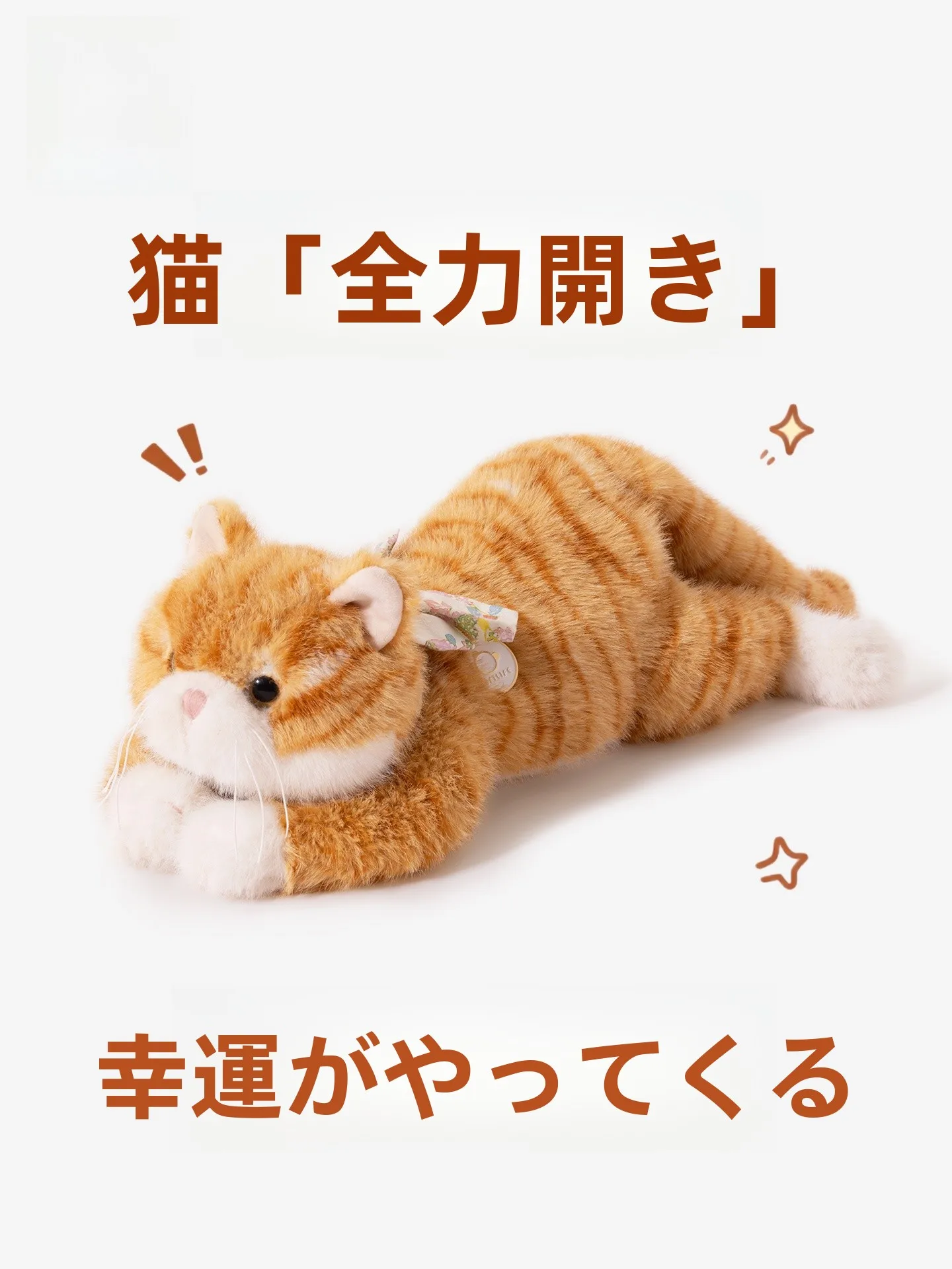 クレヨンキャットとハッピーキャットの違いは？オレンジキャットが本当に「ハッピーキャット」なのか？