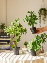 高級感あるフェイクグリーンミニ植物【インテリア装飾・シンプルデザイン】