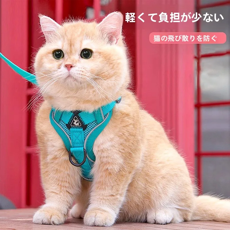 猫飼いが買ってよかったもの・悪かったもの正直に言う｜脱走防止ロープの実際の効果と選び方完全ガイド