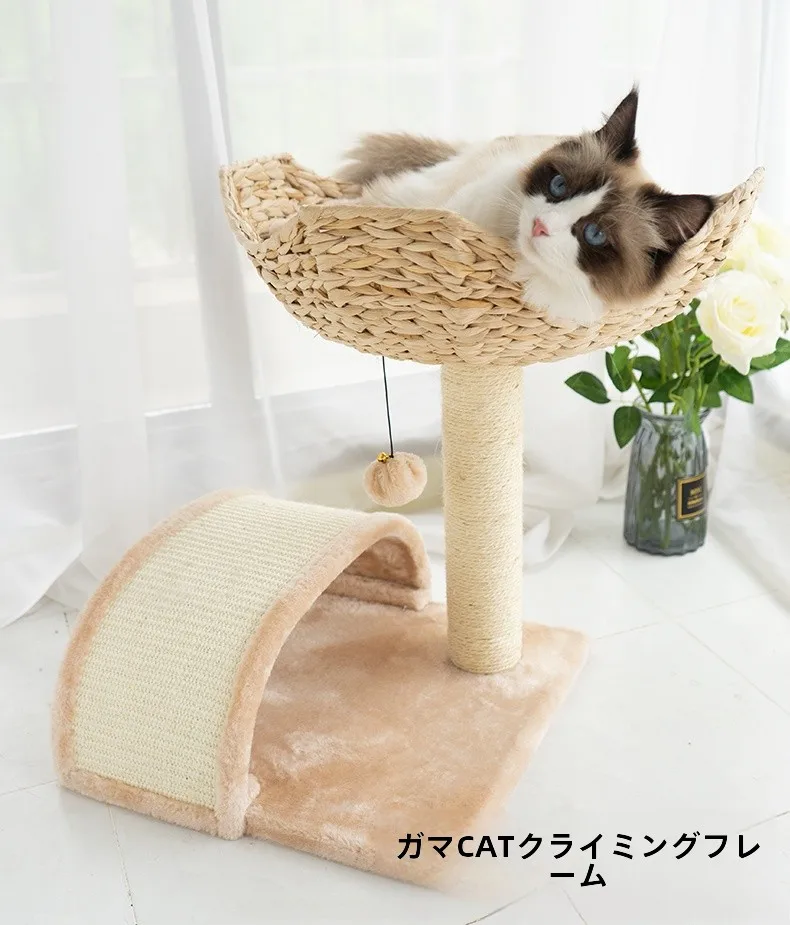 猫のための家はどう選ぶ？マッシュルーム型キャットタワーが解決するリアルな悩み
