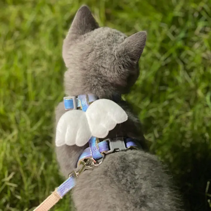 かわいい翼デザインの猫用ハーネス【脱走防止・小猫用・散歩用】