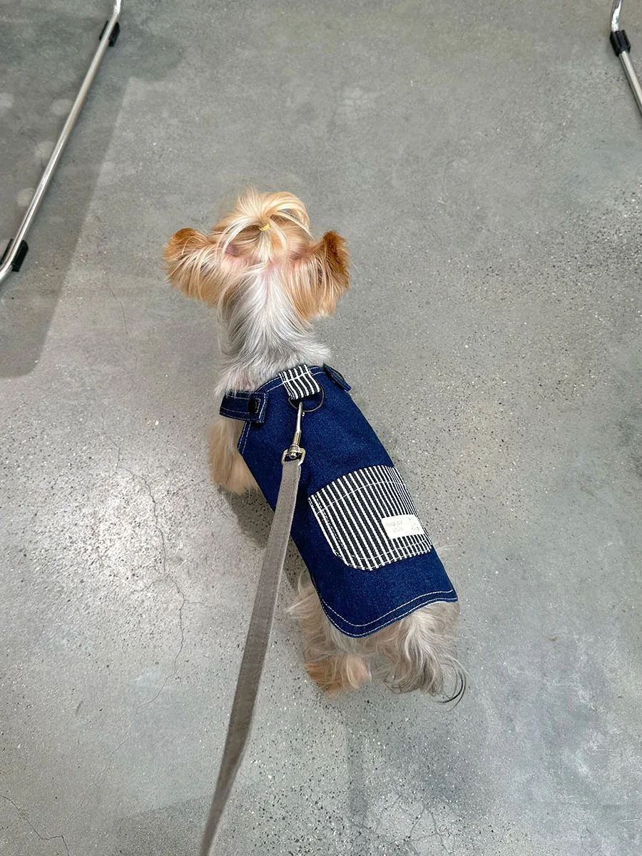 かわいいハーネスで小型犬を冬に楽しく守る：小甜粥87モデルの実用性と設計分析