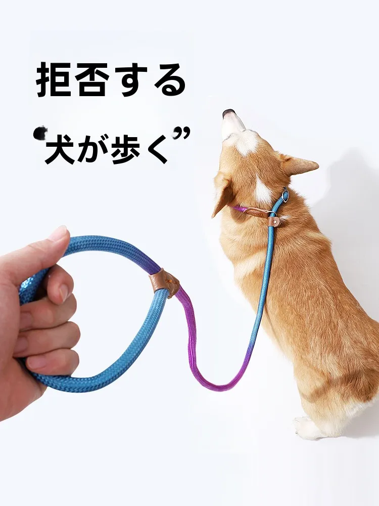 調整可能な反射材付き小型犬用リード：引っ張り防止機能と実用性の検証