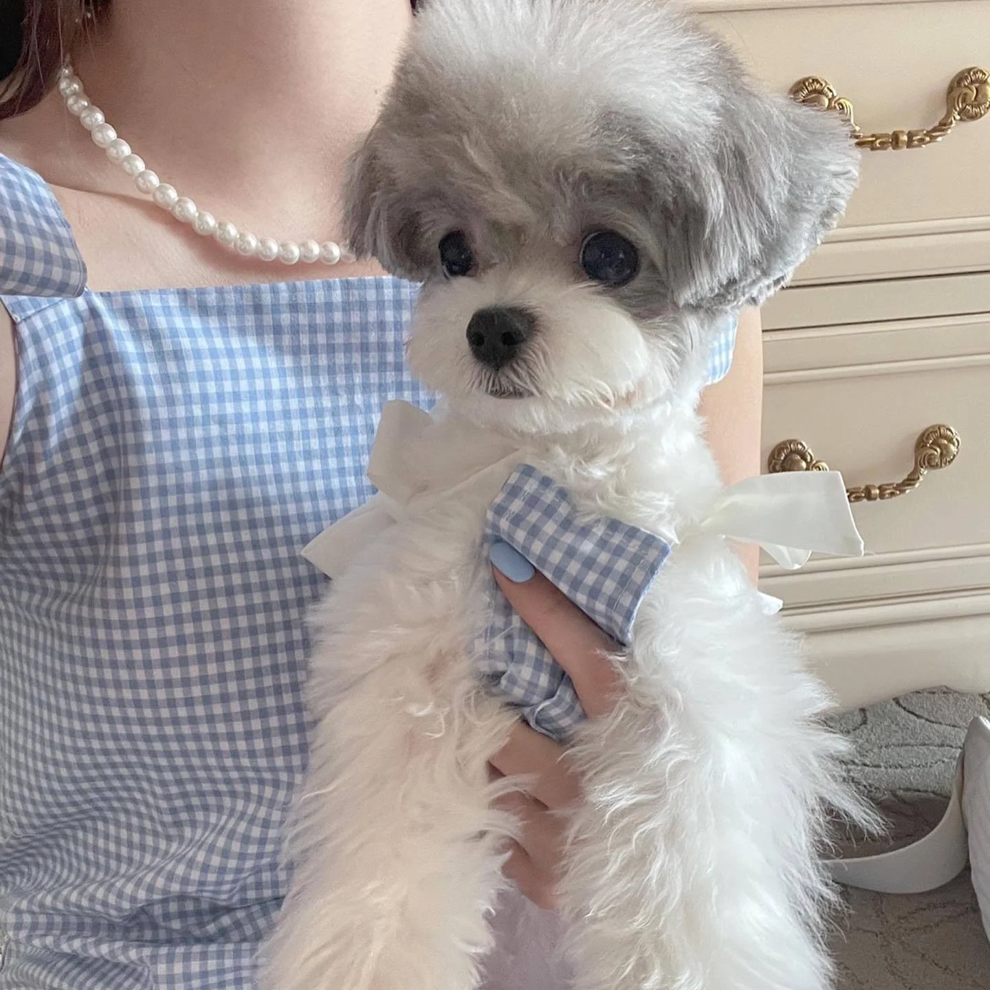 ちびぐるみの服はなぜ、私たちの心を癒すのか？