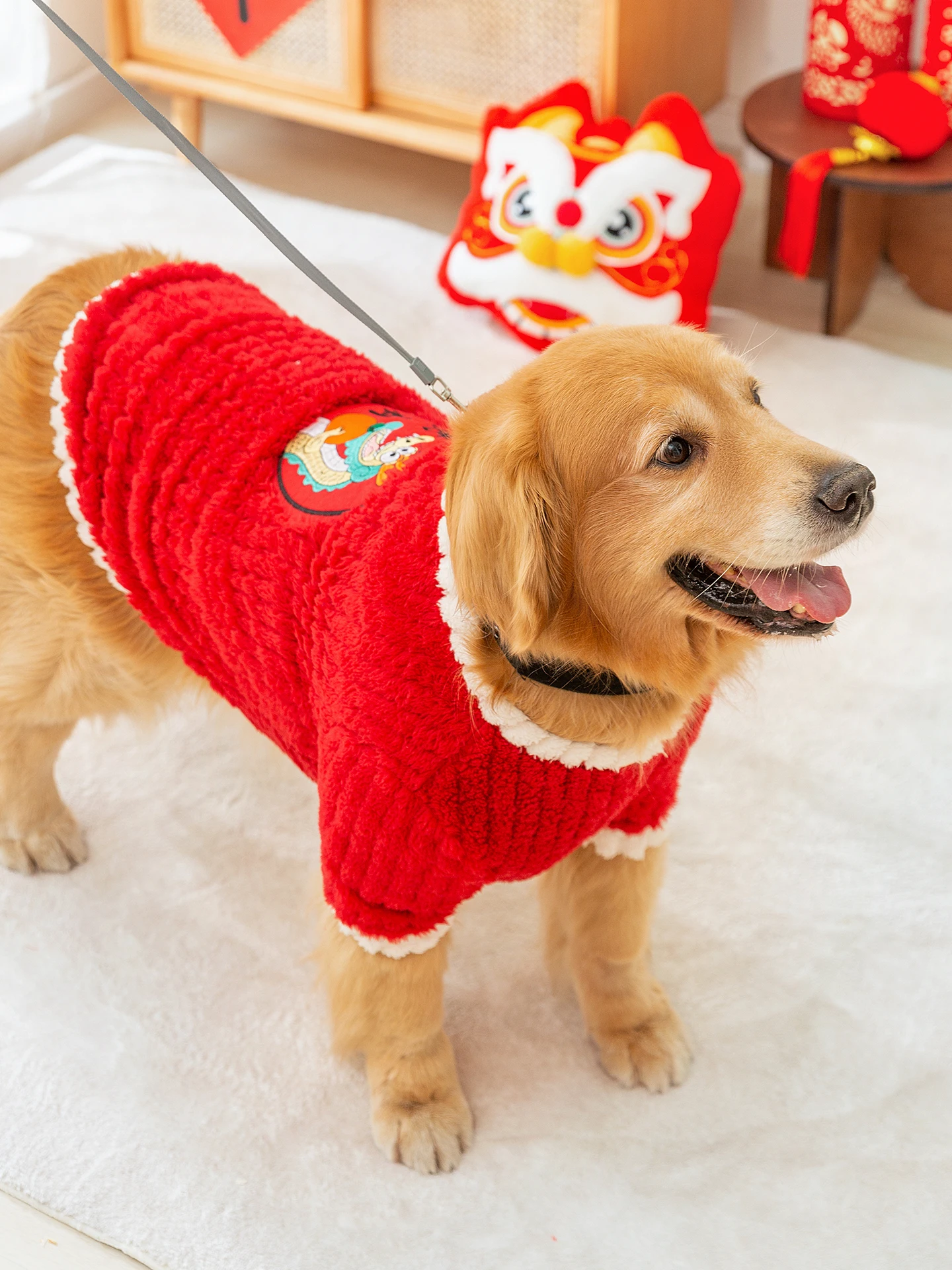 大型犬の服をどう選ぶ？冬の寒さに負けない、柴犬にぴったりのレインコートはこれ！