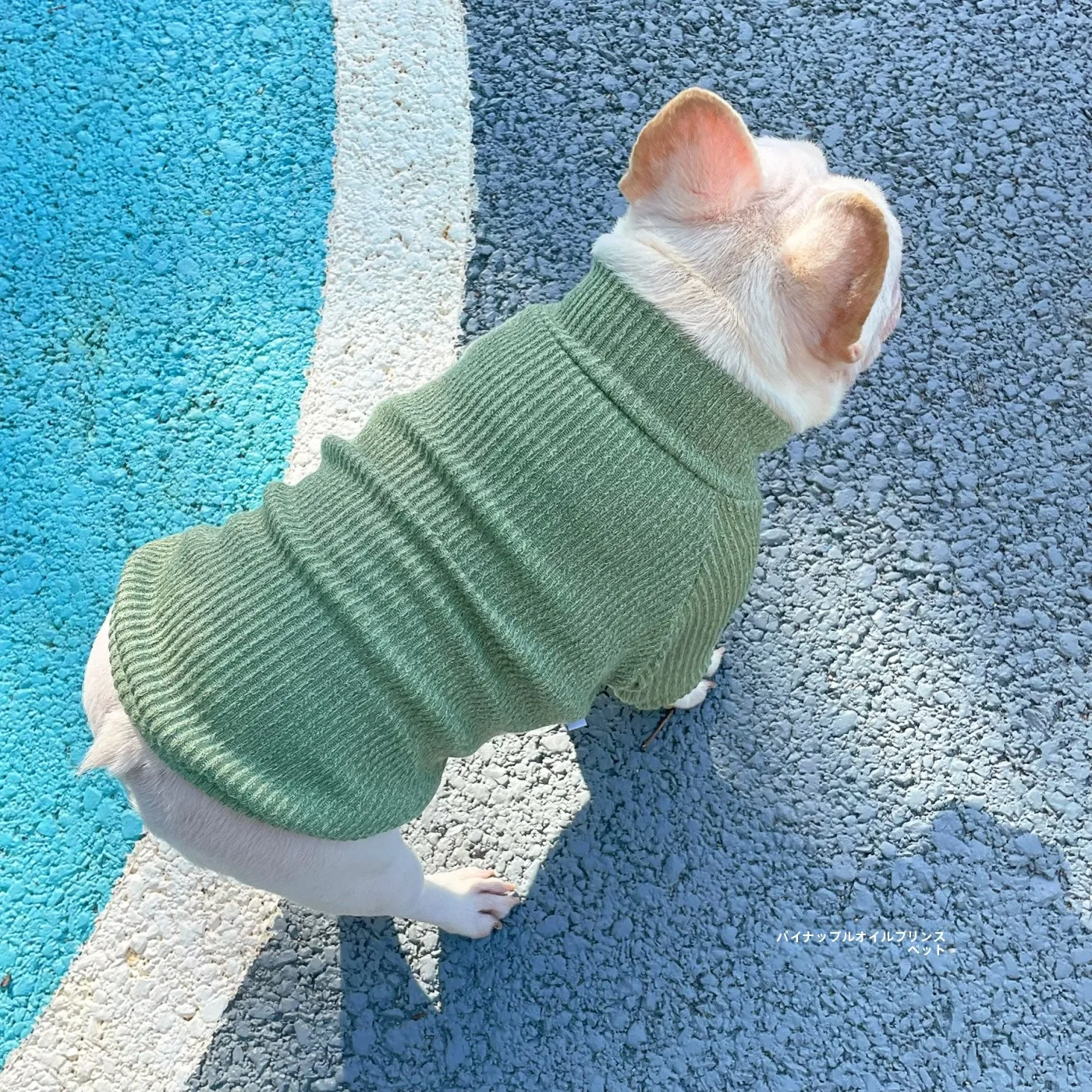 猫飼いが買ってよかったもの・悪かったもの正直に言う｜ニットウェアの選び方と実際の効果