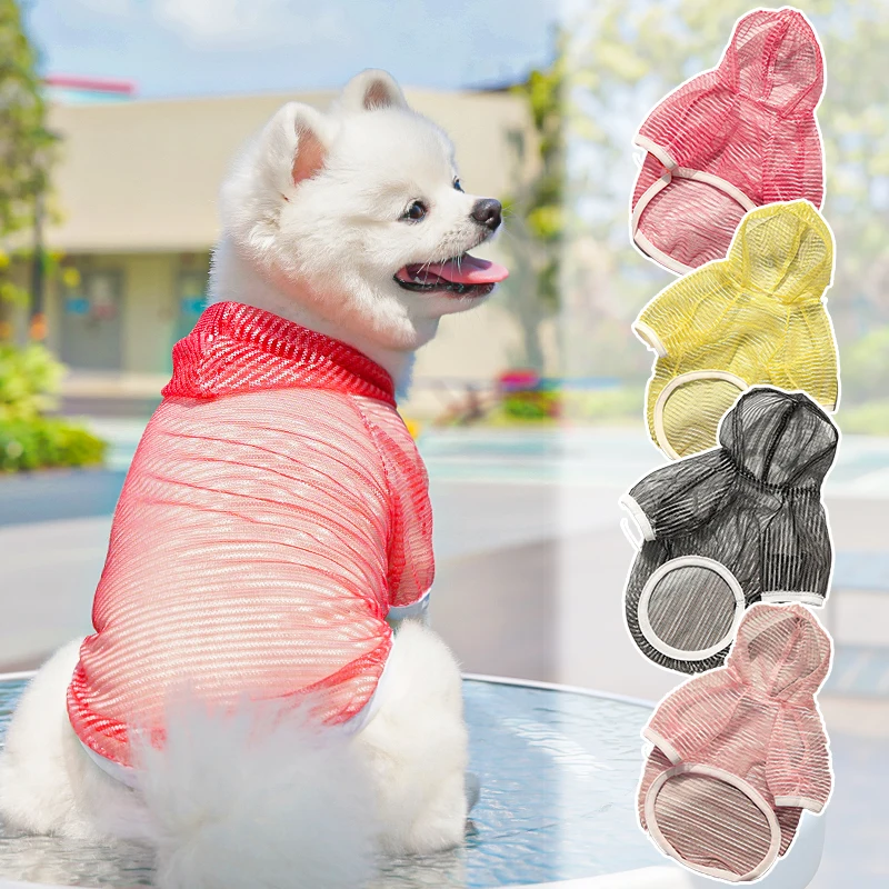 犬用メッシュシャツ：夏用通気性と日焼け防止の実用性を検証