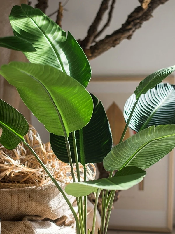 インテリア買い物リストに加えるべき植物の選び方・完全ガイド