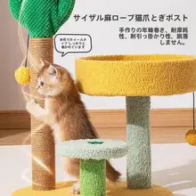 キャットタワーと爪とぎが一体化した可愛いサボテンデザインの猫ハウス【小型猫用・遊びと休息に最適】