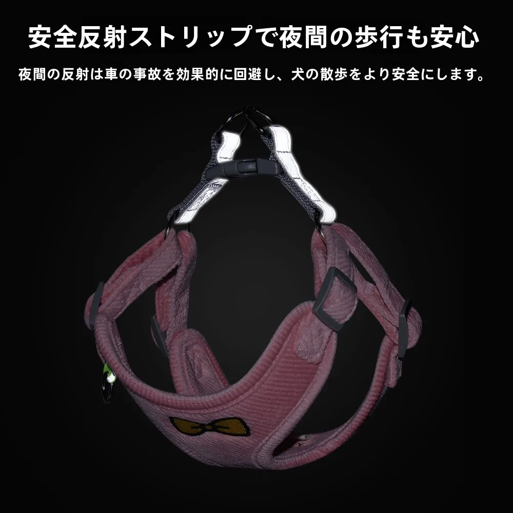 犬のお散歩グッズをコスパ良く揃える方法｜サイズ・色・シーン別選び方の完全ガイド