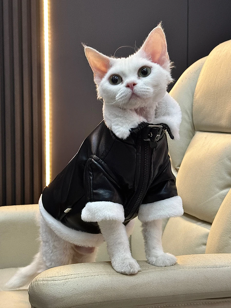スフィンクス猫向け加毛厚手冬用ジャケット：一人暮らしの寒さ対策に最適なレザー素材の選択