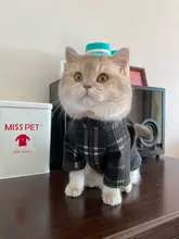 秋冬用 ペット用 コート【イギリス風・暖かいウール生地・犬猫用】