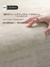 モダンデザインの大型ラグ【高級感・リビング用・クリームカラー】
