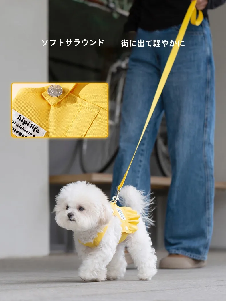 小型犬の散歩リードに何が大切？可愛さと安全のバランスを取るベストな選択とは？