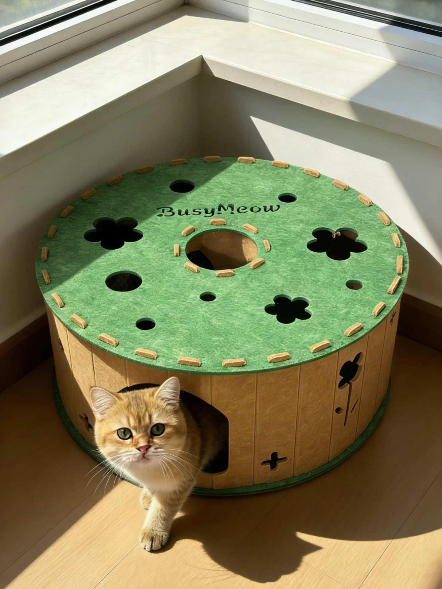 通気性の良いウール猫ハウス：一人暮らし向け夏用迷路型トンネルの実用性と設計原理