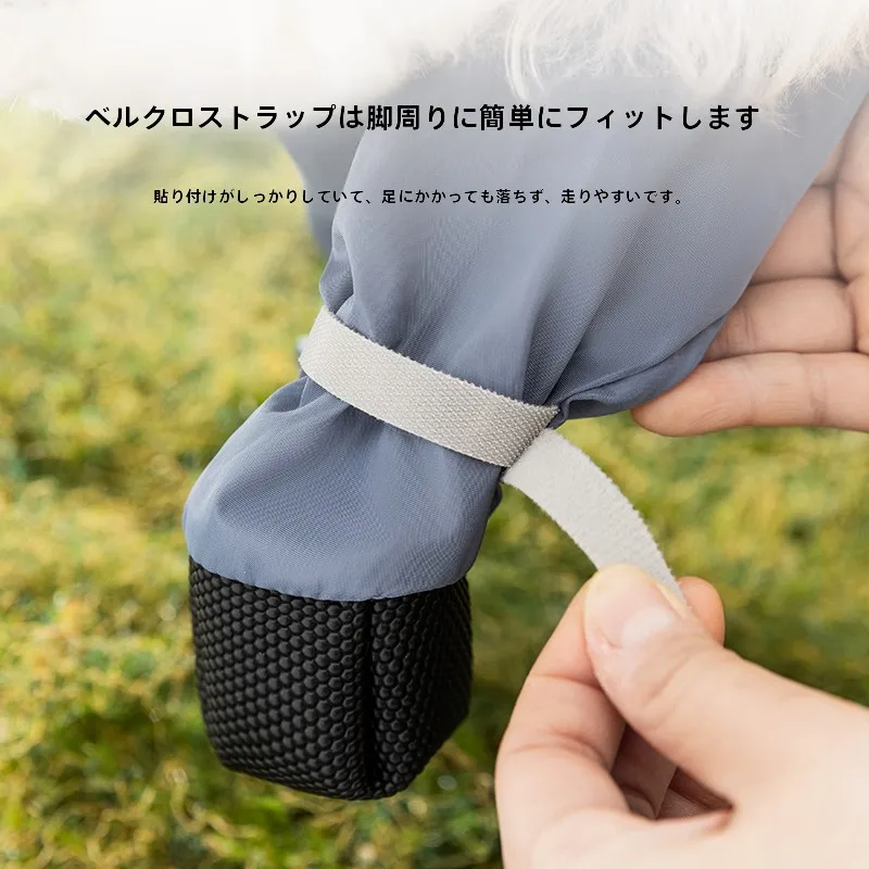 犬のお散歩グッズをコスパ良く揃える方法　完全ガイド