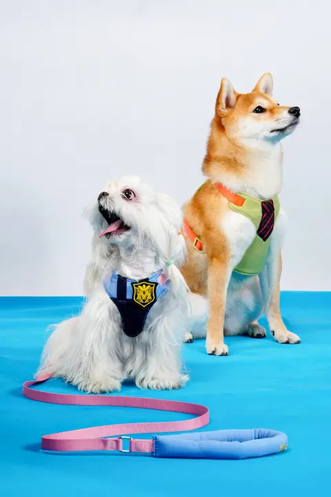 かわいい狐とウサギデザインの中小型犬用ハーネス【お散歩用・胸掛けリード付き】