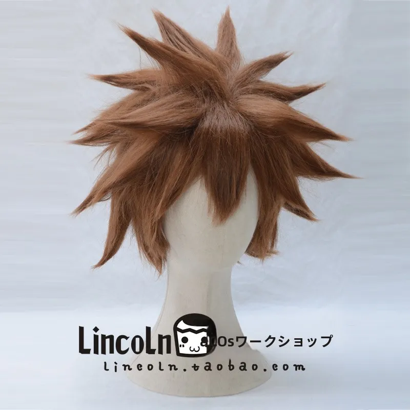 あつ森髪型に合うかっこいいコスプレ男キャラは？王国の心ソラのロングウィッグがベストな理由