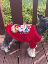 ペット用衣服【ダブルレイヤー・シルクベルベット・保温タイプ・犬用・新年用】（セットアップ対応）