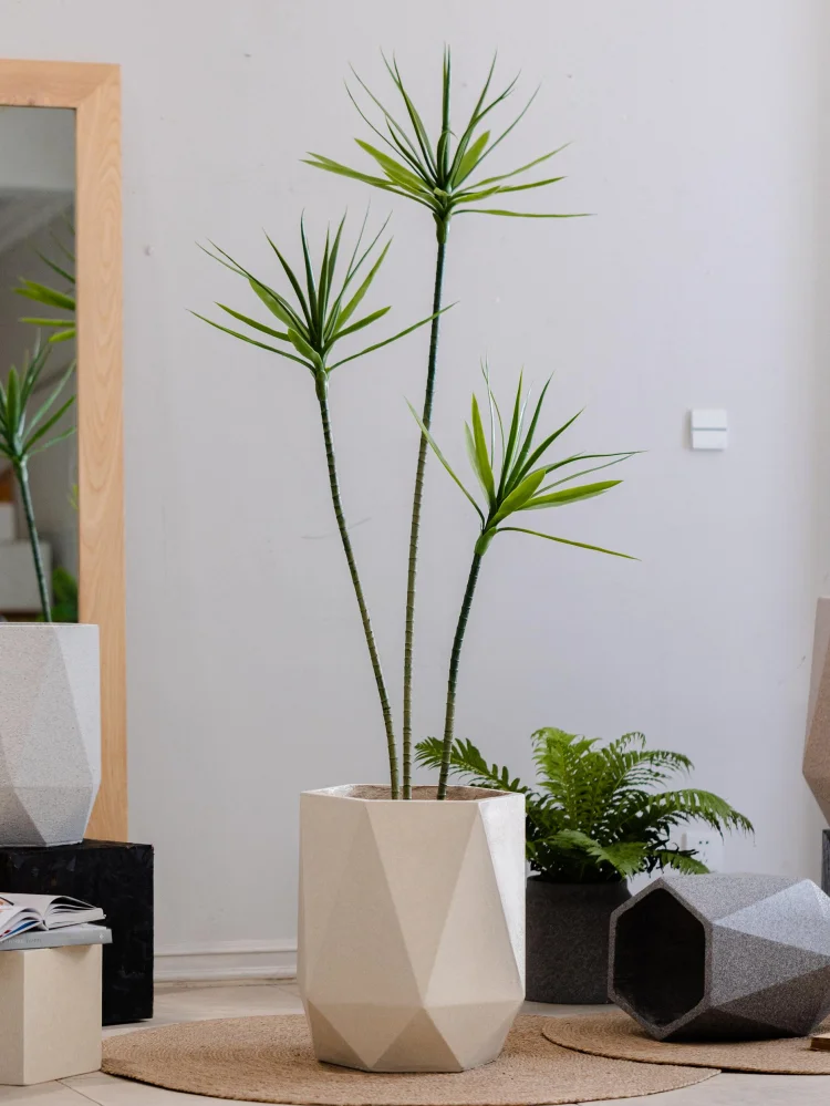 庭に植える花を育てるための「園芸ポット」は、どう選ぶ？