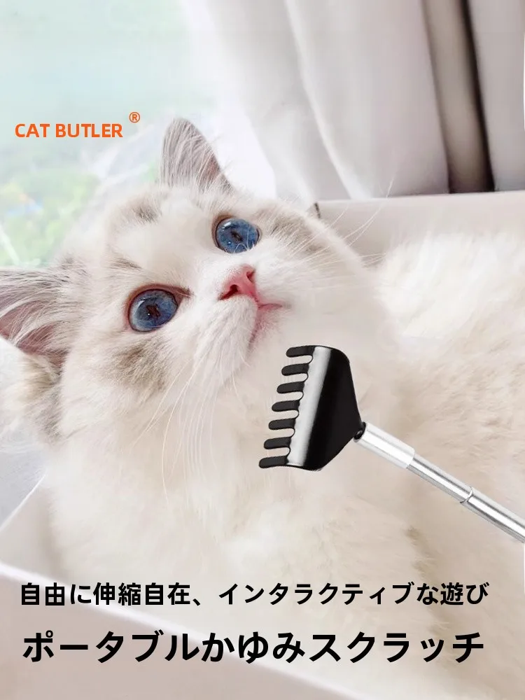 猫のスリッカーブラシを厳選5選：抜け毛除去・皮膚トラブル予防・使い勝手のバランスを徹底比較