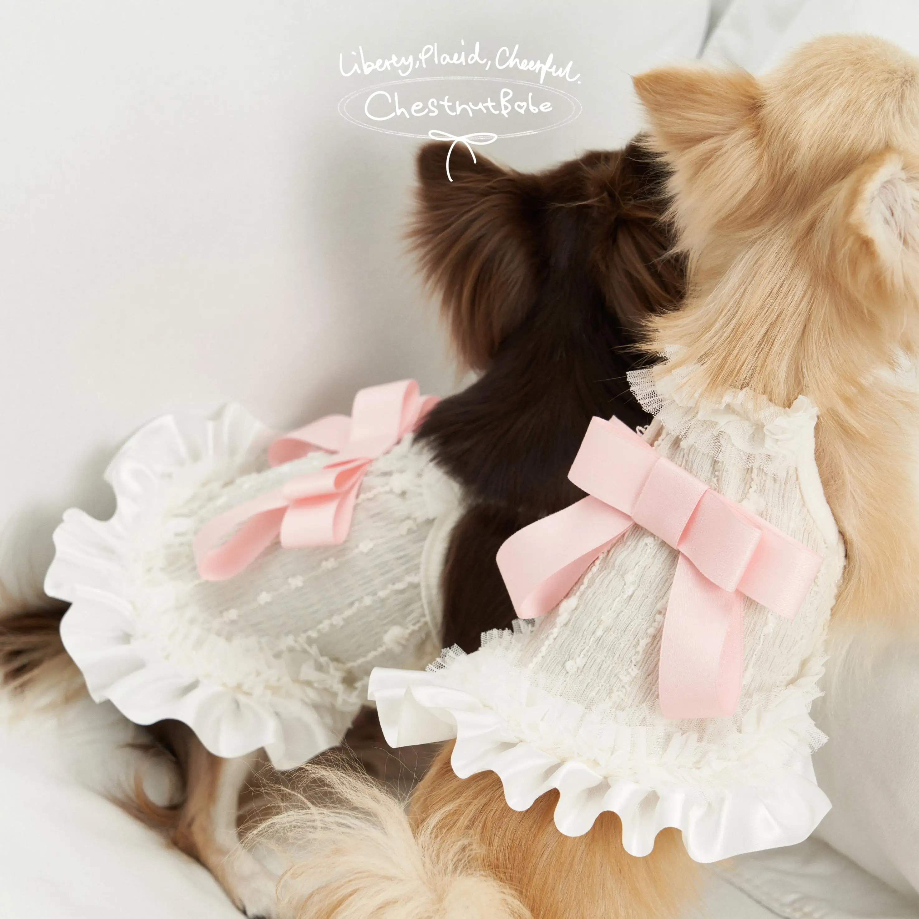 リボン付き犬用キャミソールドレス：かわいいデザインで夏の快適なペットウェア
